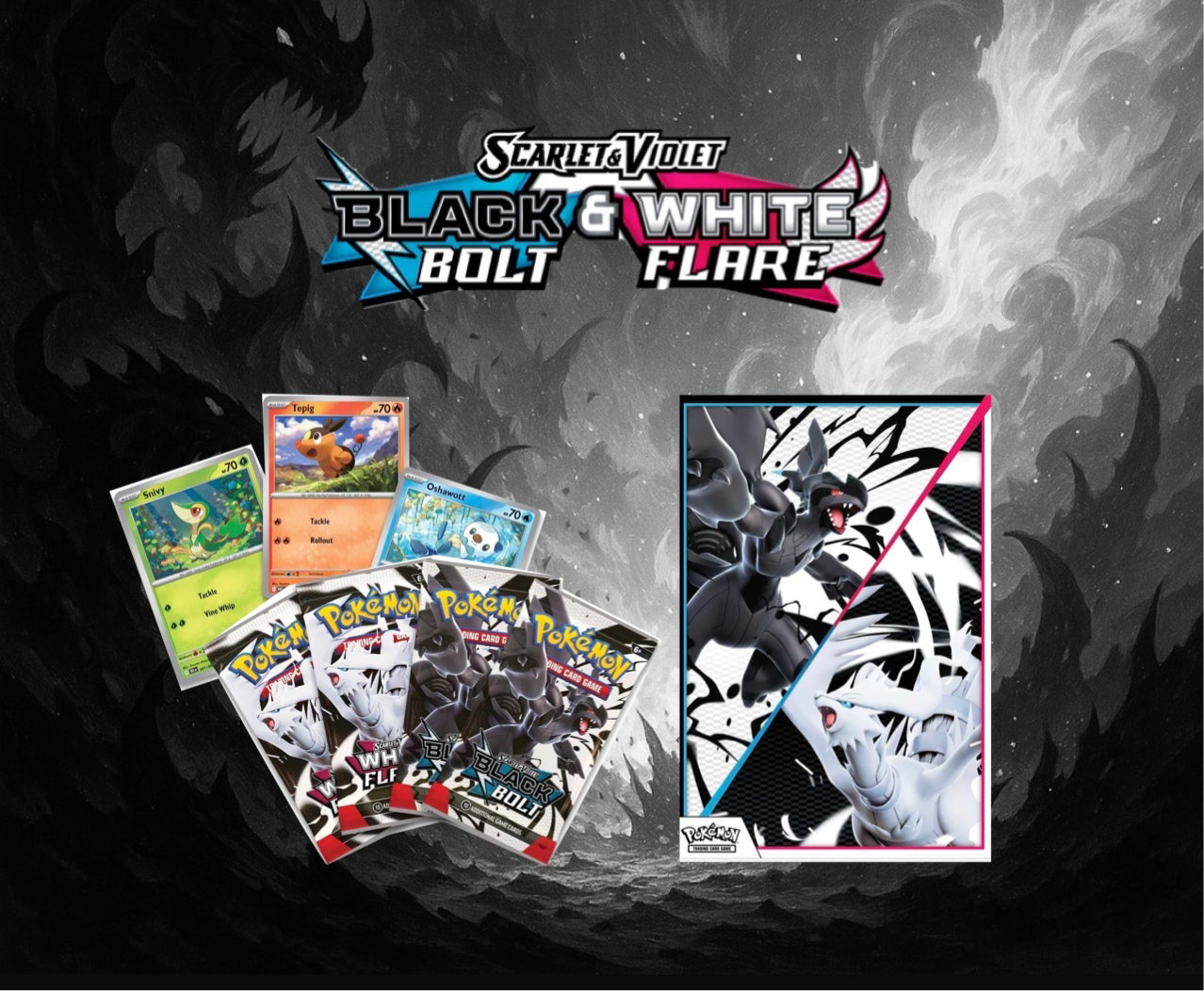 SV10.5 Unova Poster Collection