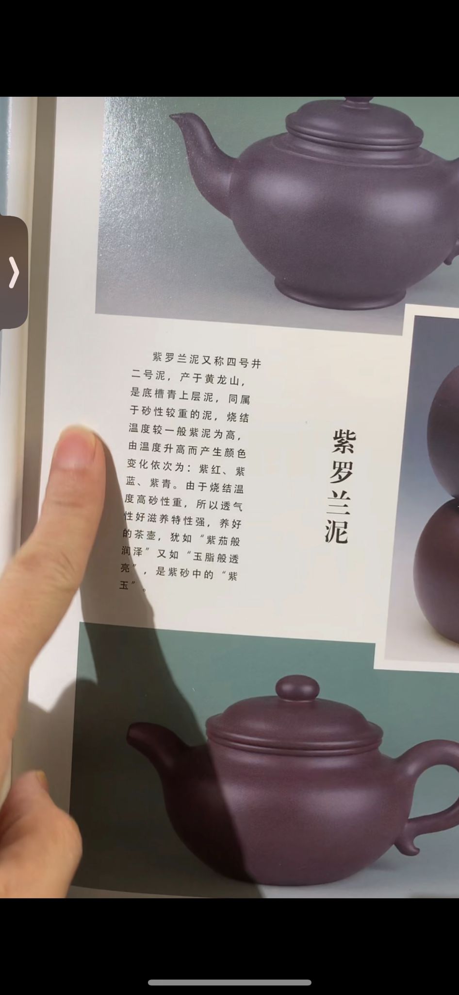 Zisha Violet purple clay Tea pot 200ml 紫砂 紫罗兰掇球茶壶