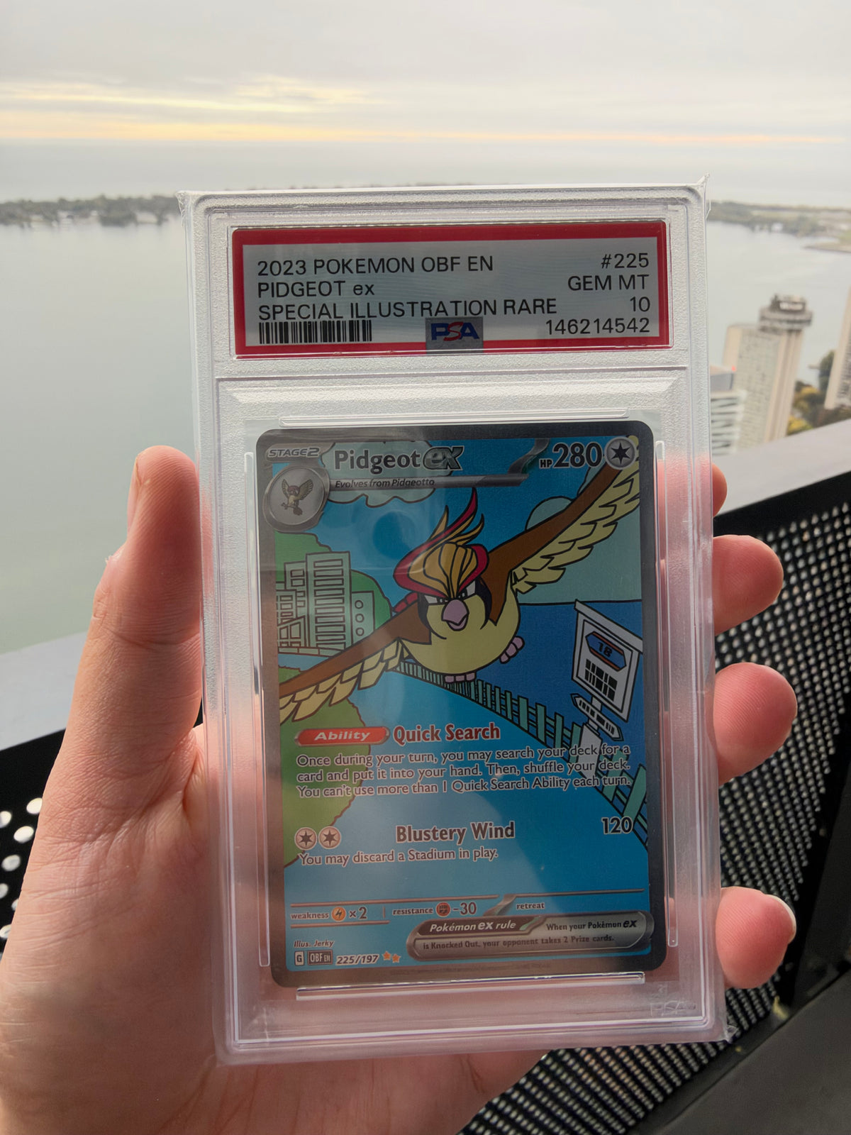 [ PSA 10 ] Pidgeot ex(SIR) #225