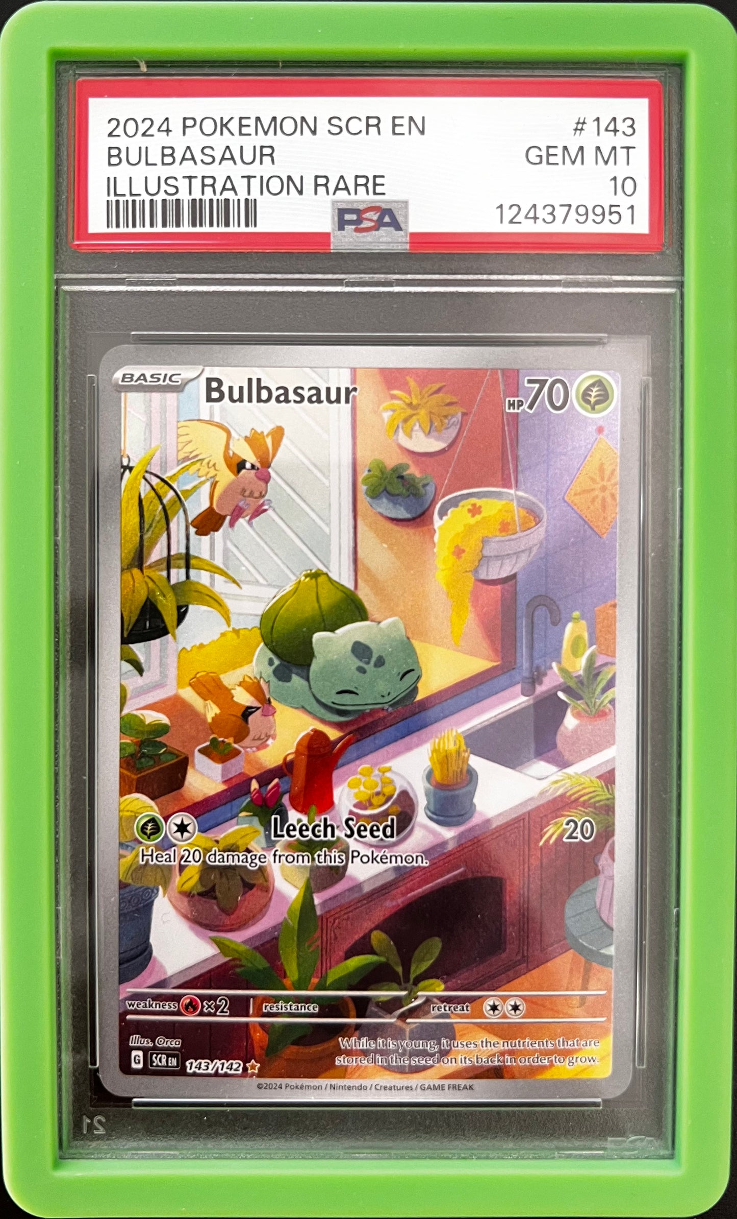 [ PSA 10 ]  Bulbasaur #143/142 (IR)