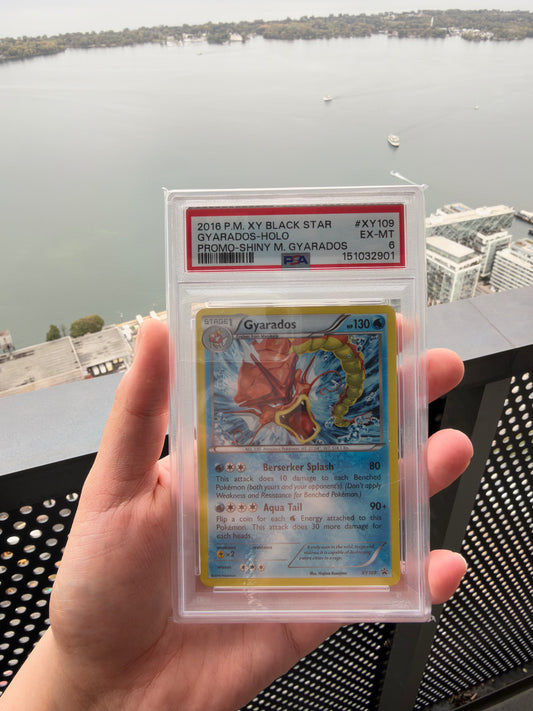 [ PSA 6 ] Gyarados (XY Promo) #XY 109