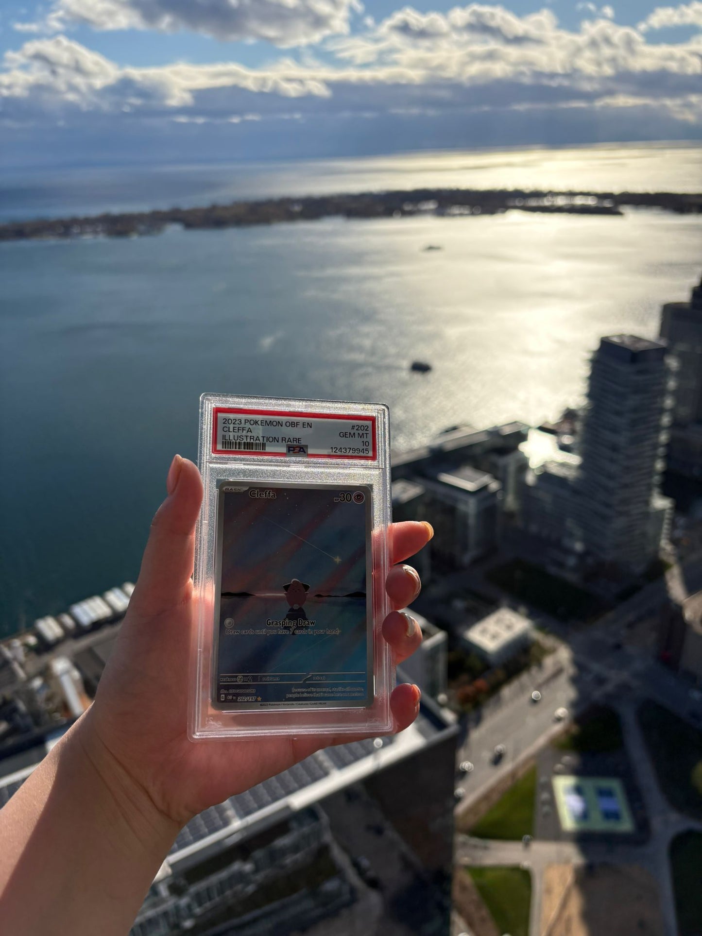 [ PSA 10 ]  Cleffa #202/197 (IR)